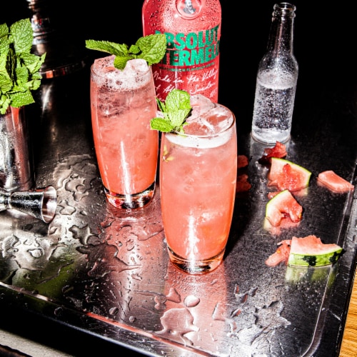 Absolut Watermelon Flavored Vodka Perspective: bottom