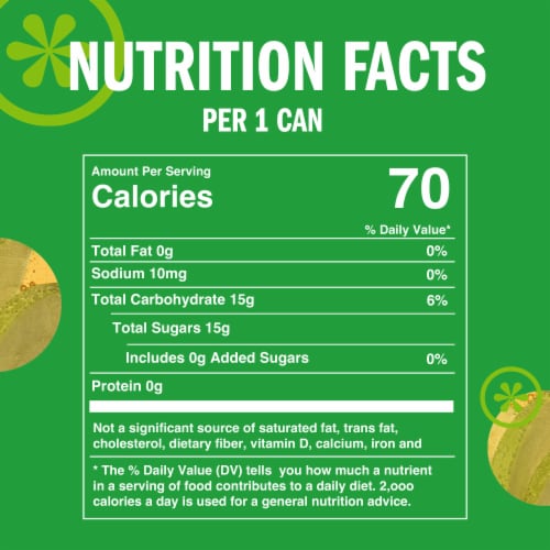 IZZE No Sugar Added Apple Sparkling Juice Beverage Blend Perspective: bottom