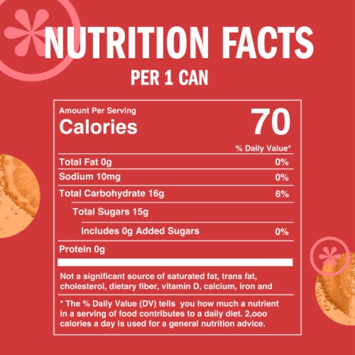 IZZE No Sugar Added Grapefruit Sparkling Juice Beverage Blend Perspective: bottom