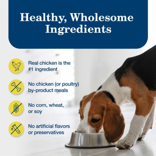 Blue Buffalo Homestyle Natural Adult Healthy Weight Wet Dog Food Beef & Garden Vegetables Perspective: bottom