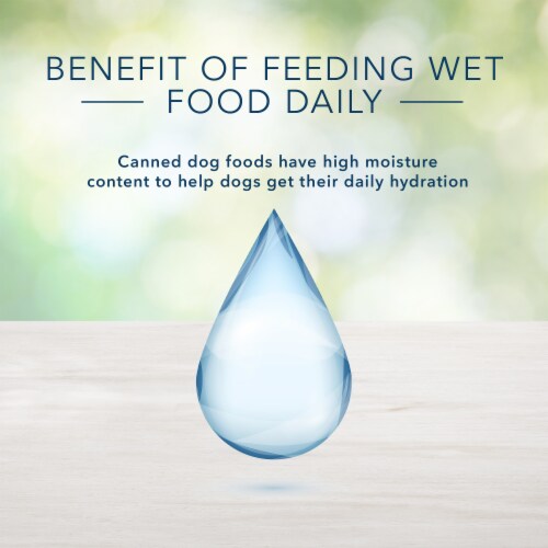 Blue Buffalo Freedom Grain-Free Recipe Dog Food Perspective: bottom