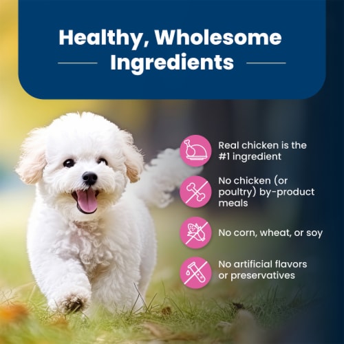 Blue Buffalo Life Protection Formula Natural Chicken and Brown Rice Adult Small Breed Dry Dog Food Perspective: bottom