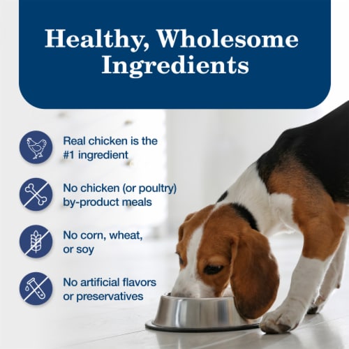 Blue Buffalo™ Chicken Dinner Homestyle Recipe Natural Dog Food Perspective: bottom