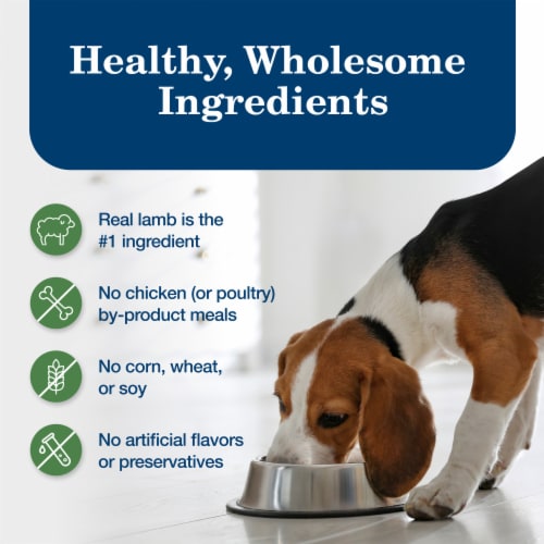 Blue Buffalo Homestyle Natural Adult Wet Dog Food Lamb & Garden Vegetables Perspective: bottom