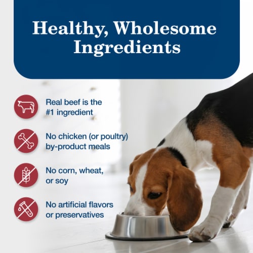 Blue Buffalo Homestyle Recipe Natural Beef Adult Wet Dog Food Perspective: bottom