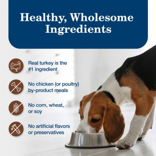 Blue Buffalo Homestyle Recipe Natural Turkey Meatloaf Adult Wet Dog Food Perspective: bottom