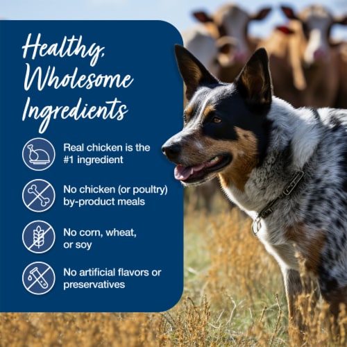 Blue Buffalo Blue's Stew Natural Wet Dog Food Country Chicken Stew Perspective: bottom