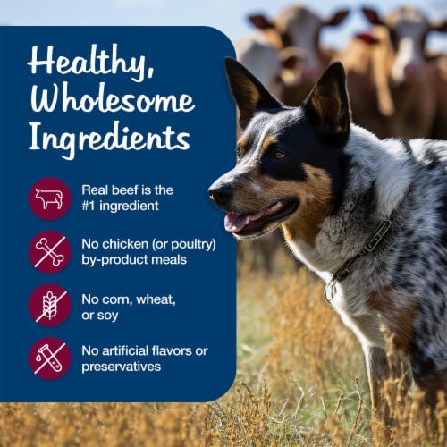 Blue Buffalo Blue's Stews Adult Grain-Free Wet Dog Food Beef Perspective: bottom