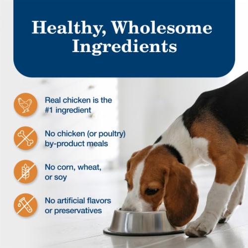 Blue Buffalo Homestyle Natural Adult Large Breed Wet Dog Food Chicken & Garden Vegetables Perspective: bottom
