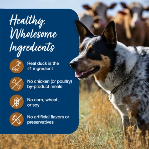 Blue Buffalo Natural Adult Blue's Stew Hunter's Stew Wet Dog Food Perspective: bottom