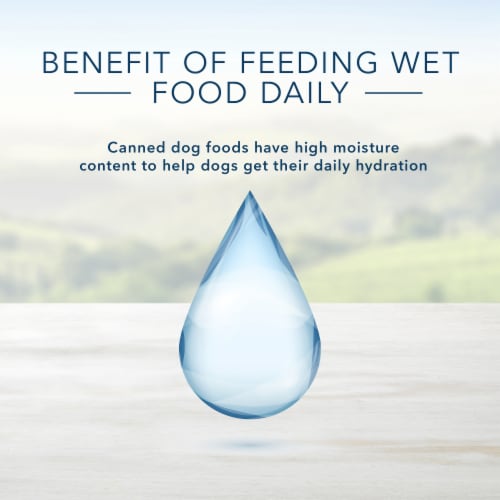 Blue Buffalo Family Favorite Recipes Backyard BBQ Dinner Wet Dog Food Perspective: bottom