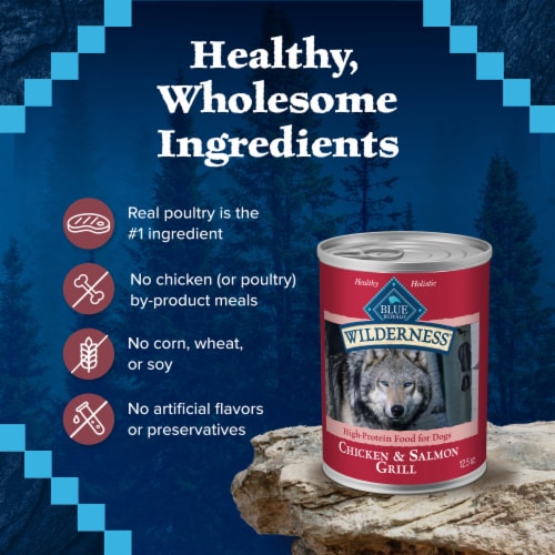 Blue Buffalo Wilderness High-Protein Adult Wet Dog Food Salmon & Chicken Grill Perspective: bottom