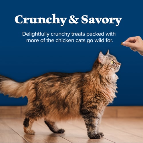 Blue Buffalo Wilderness Crunchy Cat Treats Chicken Perspective: bottom