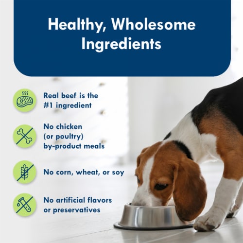 Blue Buffalo Delights Small Breed Natural Wet Dog Food, Filet Mignon Flavor in Gravy, 3.5-oz. Cups Perspective: bottom