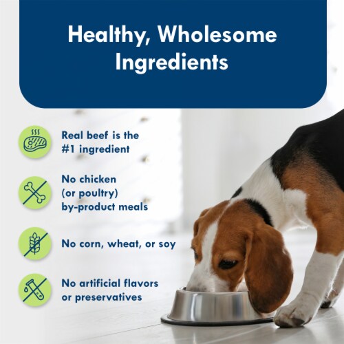 Blue Buffalo Delights Small Breed Natural Wet Dog Food, Filet Mignon Flavor in Gravy, 3.5-oz. Cups Perspective: bottom