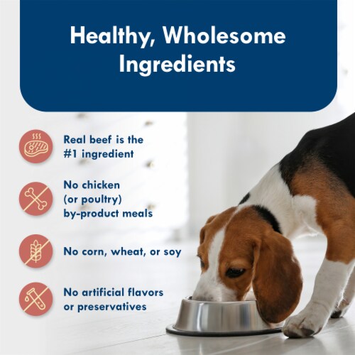 Blue Buffalo Delights Small Breed Wet Dog Food Prime Rib Flavor in Gravy Perspective: bottom