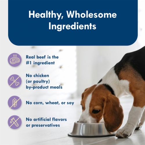 Blue Buffalo Delights Small Breed Natural Paté Wet Dog Food Porterhouse Perspective: bottom