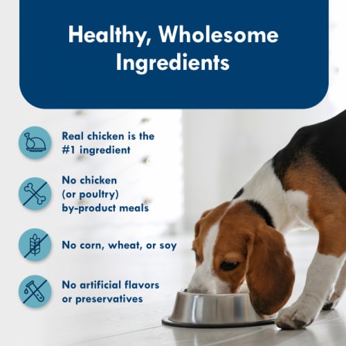 Blue Buffalo Delights Grilled Chicken Flavor Pate Small Breed Dog Food Perspective: bottom