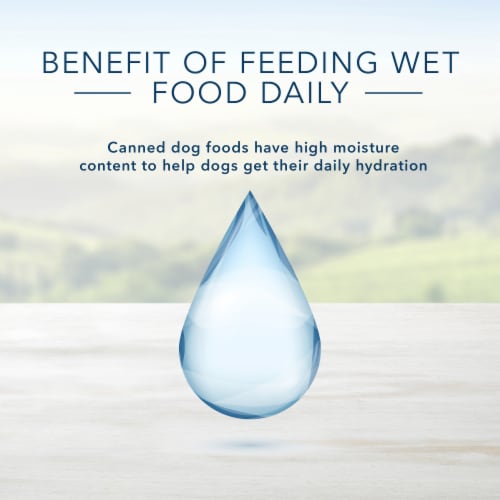Blue Buffalo Delights Bacon Egg & Cheese Pate Small Breed Natural Adult Wet Dog Food Perspective: bottom