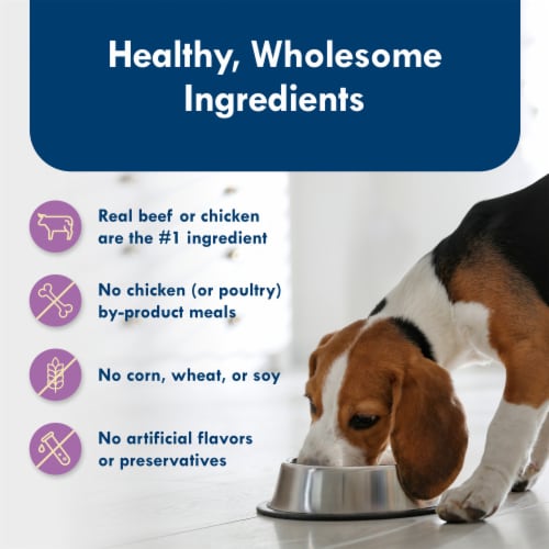 Blue Buffalo Delights Small Breed Paté Wet Dog Food Variety Pack Top Sirloin & Grilled Chicken Perspective: bottom