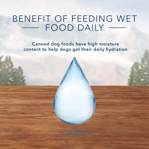Blue Buffalo Wilderness Beef Grill Trail Trays Wet Dog Food Perspective: bottom