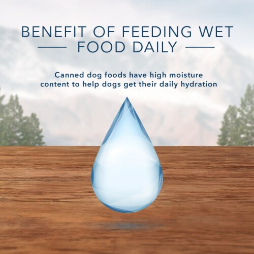 Blue Wilderness Chicken Grill Trail Trays Wet Dog Food Perspective: bottom