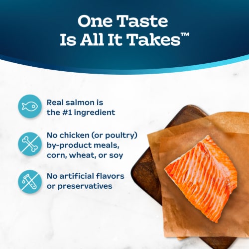 Blue Buffalo Tastefuls Natural Salmon and Brown Rice Indoor Adult Dry Cat Food Perspective: bottom