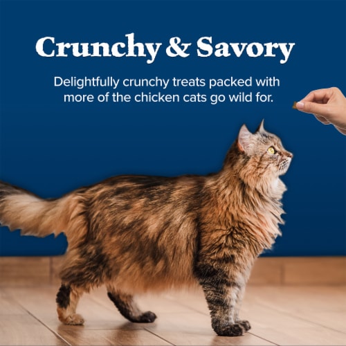 Blue Buffalo Wilderness Crunchy Cat Treats Grain-Free with Natural Ingredients Tasty Chicken Flavor Perspective: bottom