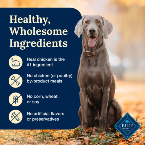 Blue Buffalo Delectables Natural Wet Dog Food Toppers, Tasty Chicken Cuts in Gravy, 3-oz Perspective: bottom
