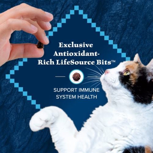 Blue Buffalo Wilderness High Protein Natural Duck Adult Dry Cat Food Perspective: bottom