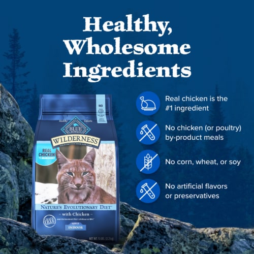 Blue Buffalo Wilderness High Protein Natural Chicken Adult Indoor Dry Cat Food Perspective: bottom