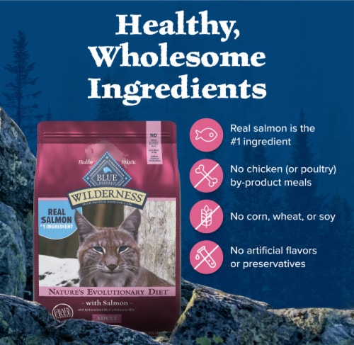 Blue Buffalo Wilderness High Protein Natural Salmon Adult Dry Cat Food Perspective: bottom