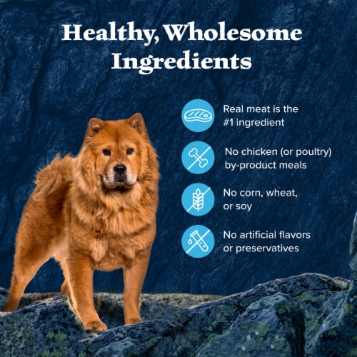 Blue Buffalo Wilderness Trail Toppers Wet Dog Food High-Protein Variety Pack Chicken & Beef Perspective: bottom