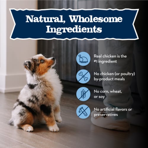 Blue Buffalo Baby BLUE Healthy Growth Formula Natural Chicken and Brown Rice Puppy Dry Dog Food Perspective: bottom