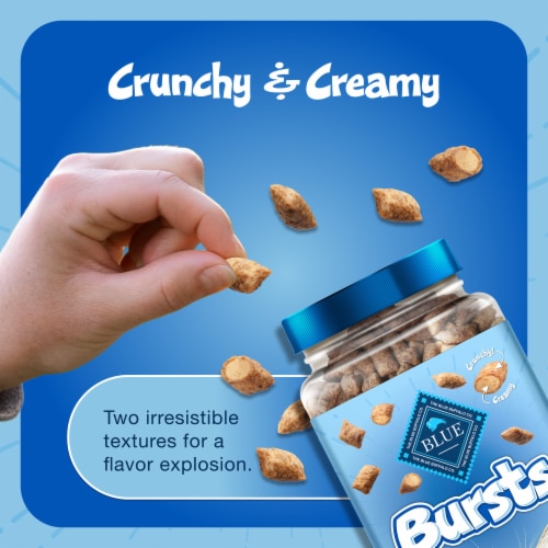 Blue Buffalo Bursts Crunchy Chicken Cat Treats Perspective: bottom