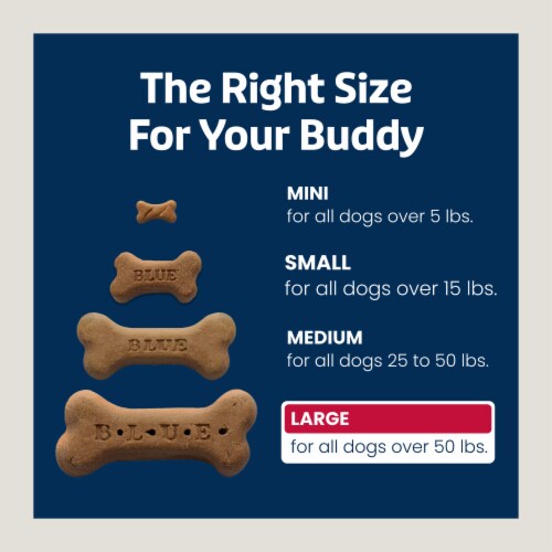 Blue Buffalo Bones Crunchy Biscuit Large Dog Treats Natural Beef Perspective: bottom