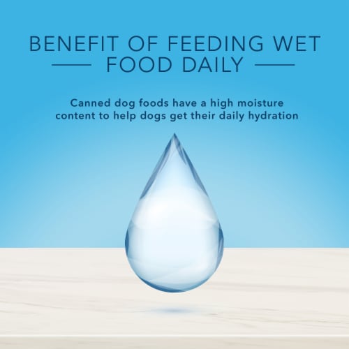 Blue Buffalo True Solutions Best Life Adult Wet Dog Food Perspective: bottom