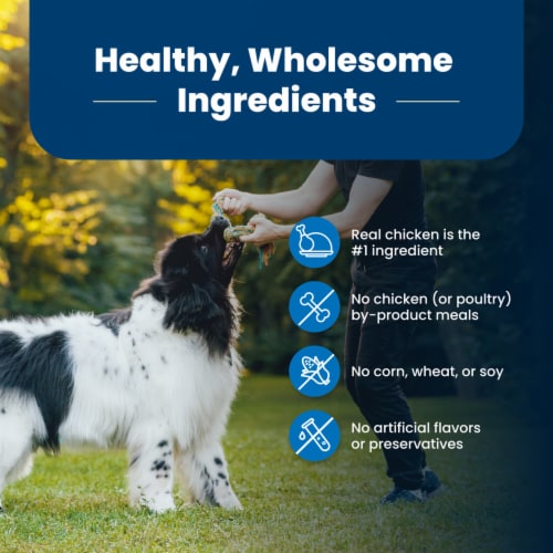 Blue Buffalo Life Protection Formula Natural Chicken and Brown Rice Adult Dry Dog Food Perspective: bottom