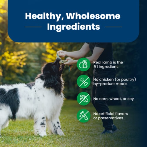 Blue™ Life Protection Formula® Lamb & Brown Rice Adult Dry Dog Food Perspective: bottom