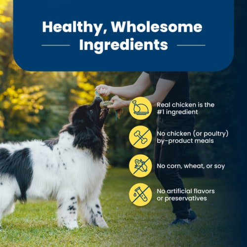 Blue Buffalo Life Protection Formula Healthy Weight Adult Dry Dog Food Chicken & Brown Rice Perspective: bottom