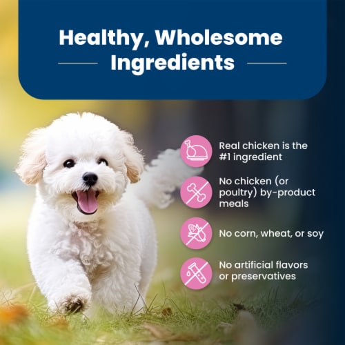 Blue Buffalo Life Protection Formula Natural Chicken and Brown Rice Adult Small Breed Dry Dog Food Perspective: bottom