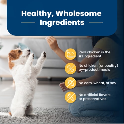 Blue Buffalo Life Protection Healthy Weight Formula Chicken & Brown Rice Small Breed Adult Dog Food Perspective: bottom
