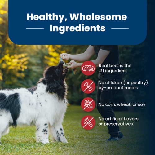 Blue™ Life Protection Formula Adult Beef and Brown Rice Recipe Natural Food for Dogs Perspective: bottom