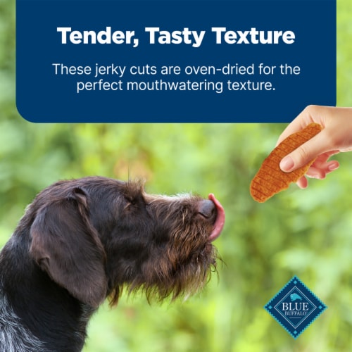 Blue Buffalo Nudges Jerky Cuts Natural Chicken and Duck Dog Treats Perspective: bottom