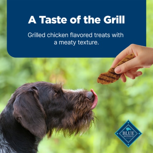 Blue Buffalo Nudges Grillers Natural Dog Treats Chicken Perspective: bottom
