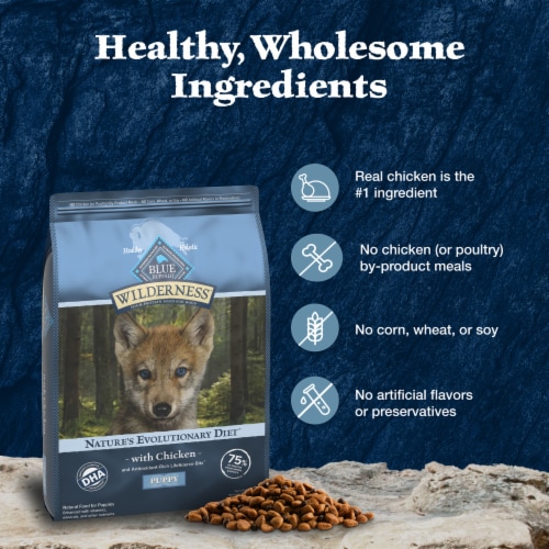 Blue Buffalo Wilderness High Protein Natural Puppy Dry Dog Food Chicken Perspective: bottom