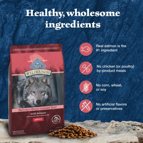 Blue Buffalo Wilderness High Protein Natural Salmon and Wholesome
