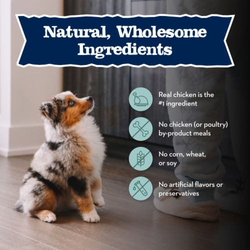 Blue Buffalo Baby BLUE Natural Dry Food for Puppies, High-Protein Savory Chicken Recipe, 20-lb Bag Perspective: bottom