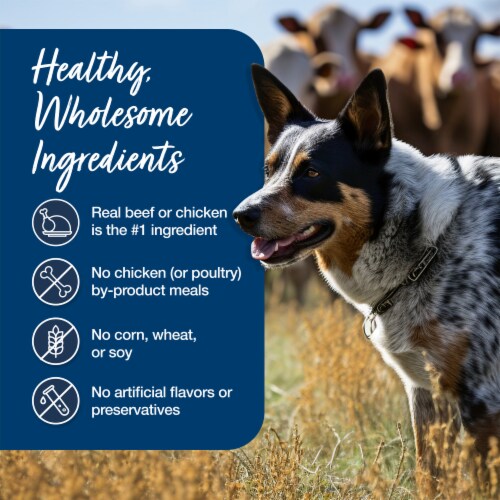 Blue Buffalo Blue's Stew Natural Chicken & Beef Adult Wet Dog Food Variety Pack Perspective: bottom