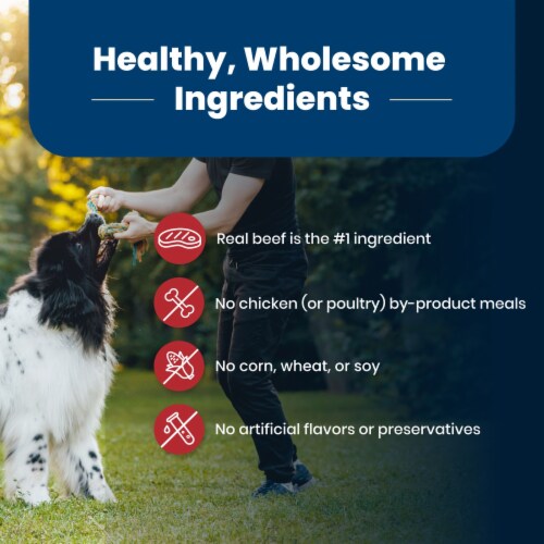 Blue Buffalo Life Protection Formula Adult Dry Dog Food, Beef & Brown Rice Recipe, 24 lb Bag Perspective: bottom